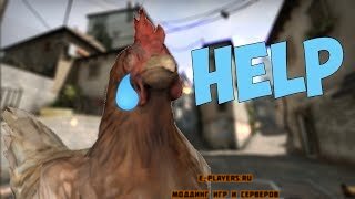 [CS:GO]Удаление куриц / ChickenSlayer